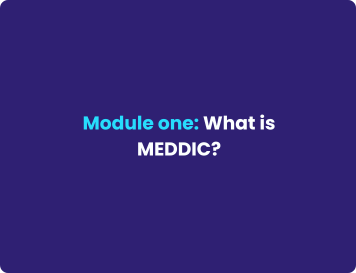 What is MEDDIC